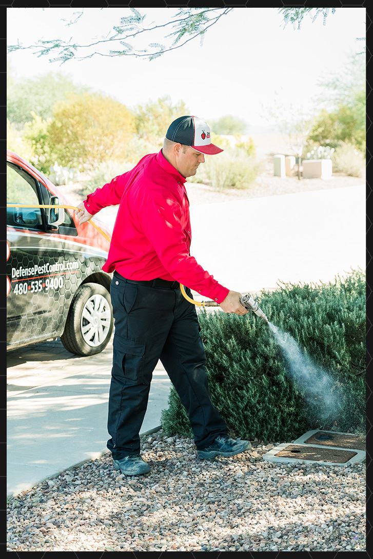 Professional expertise for your pest control needs in Queen Creek